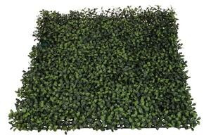Umělý živý plot-buxus 50cm x 50cm