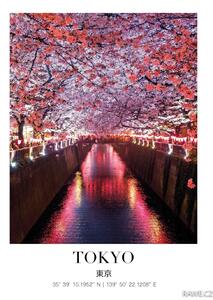 Tokio v noci Fotopapír 30 x 40 cm