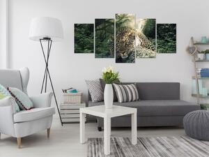 Obraz - Ležící levhart - světlezelený 100x50