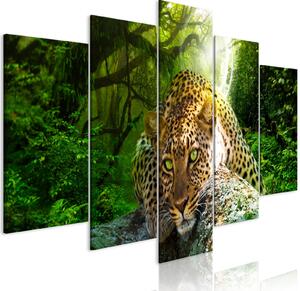 Obraz - Leopard ležící - zelený 100x50