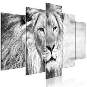 Obraz - Král zvířat - černobílý 100x50