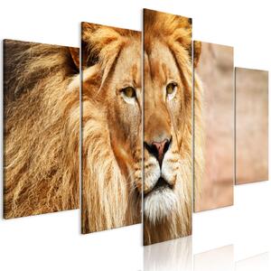 Obraz - Král zvířat - oranžový 100x50
