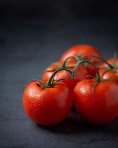 Keříková rajčata Samolepící 20 x 30 cm