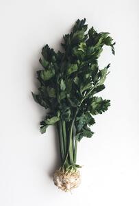 Celer Samolepící 50 x 70 cm