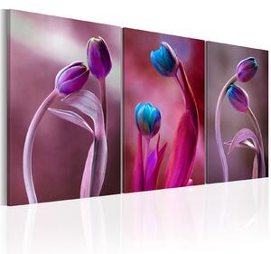 Obraz - Zamilované tulipány 60x30