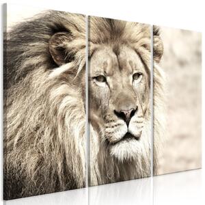 Obraz - Král zvířat - béžový 90x60