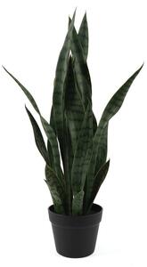 Sušená rostlina (výška 66 cm) Sansevieria – PT LIVING