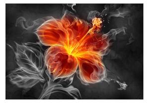 Fototapeta - Ohnivý květ uvnitř kouře + zdarma lepidlo - 200x140