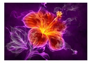Fototapeta - Ohnivý květ ve fialové barvě + zdarma lepidlo - 200x140
