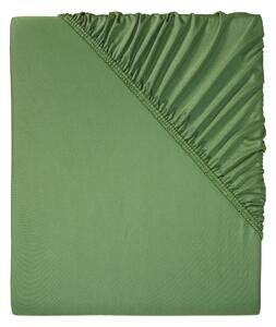 Livarno home Žerzejové napínací prostěradlo, 180-200 x 200 cm (zelená) (100387825002)
