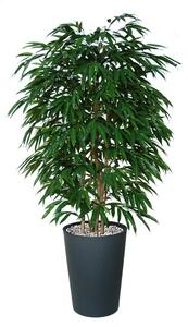 ILA Umělý strom Longifolia Boschetto výška: 150cm