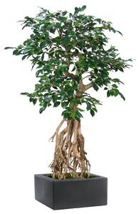 ILA Umělý strom Fikus Retusa Root mini (130cm)