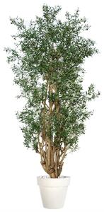 ILA Umělý strom Olive Malabar Lux výška: 250cm