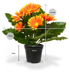 MF Umělá rostlina Gerbera v květináči (30cm) - oranžová