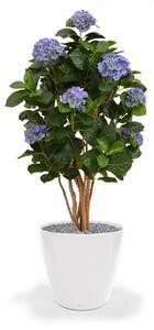 MF Umělá rostlina Hortenzie DeLuxe (110cm) - modrá