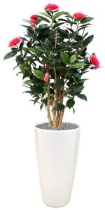 MF Umělá rostlina Camellia DeLuxe (100cm) - růžová