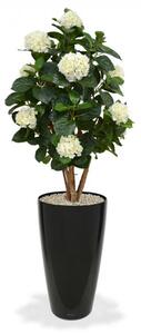 MF Umělá rostlina Hortenzie DeLuxe (110cm) - krémová
