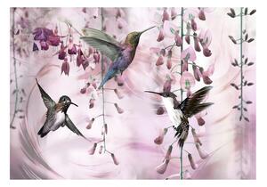 Fototapeta - Létající kolibříci (růžová) + zdarma lepidlo - 200x140
