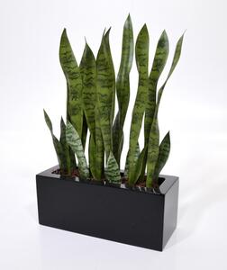 MF Umělá rostlina Sansevieria (60cm) tchynin jazyk