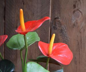 MF Umělá rostlina Anthurie (40cm) červená - v květináči