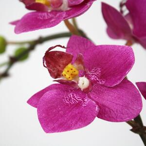 MF Umělá květina Orchidej větvička Phalaenopsis (50cm) - vínová