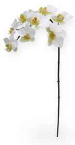 MF Umělá květina Orchidej větvička Phalaenopsis (80cm) - bílá