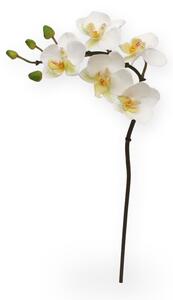 MF Umělá květina Orchidej větvička Phalaenopsis (50cm) - bílá