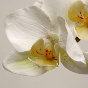 MF Umělá květina Orchidej větvička Phalaenopsis (80cm) - bílá