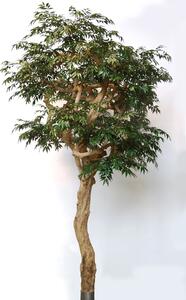ILA Umělý strom Myrsifolia Nidra Lux (320cm) dub