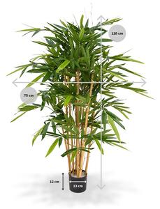 MF Umělý strom Bambus Lux (120cm)