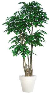 ILA Umělý strom Beech Nicobar (300cm) Barva listů: vícebarevná (Vario)