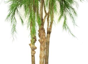 ILA Umělý strom Coral 3D Tree (220cm)