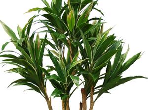 ILA Umělý strom Cordyline Florida (240cm) Barva listů: vícebarevná (Vario)