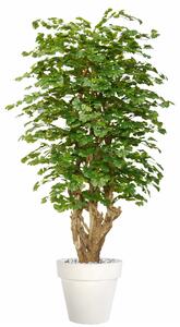 ILA Umělý strom Ginkgo Malabar výška: 150cm