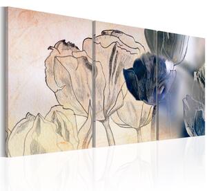 Obraz - Skica tulipánů 60x30