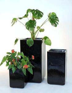 ILA Umělá rostlina Calathea Bush Lux (80cm)