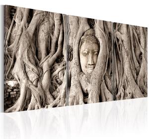 Obraz - Strom meditace 60x30
