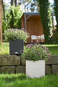 Květináč Lechuza Cube 30 Cottage (30cm) Barva: Černá