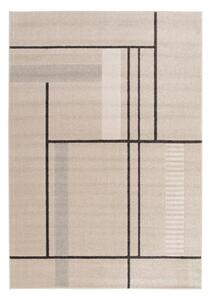 Béžový koberec 80x150 cm Domus – Universal