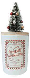 DW HOME Peppermint Marshmallows