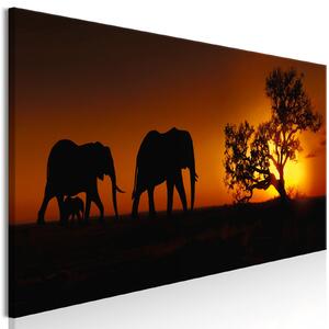 Obraz - Sloní rodina - oranžová 150x50