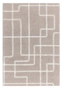 Světle šedý ručně tkaný vlněný koberec 120x170 cm Ada – Asiatic Carpets