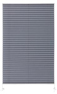 Livarno home Plisovaná roleta, 80 x 130 cm (šedá) (100390583002)