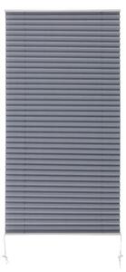 Livarno home Plisovaná roleta, 60 x 130 cm (šedá) (100390592002)