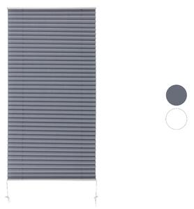 Livarno home Plisovaná roleta, 60 x 130 cm (100390592)