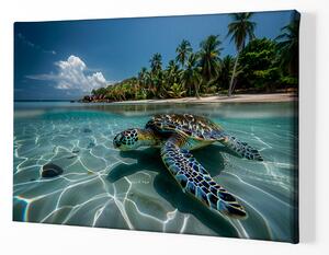 Obraz na plátně - Mořská želva u pláže FeelHappy.cz Velikost obrazu: 150 x 100 cm
