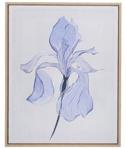 TIŠTĚNÉ OBRAZY NA PLÁTNĚ, květiny, 40/50 cm Monee - Umělecký tisk