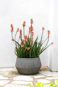 Moderní květináč BRIGATA, vláknocement, 36x22 cm, šedý