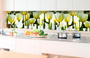 Samolepící fototapeta do kuchyně bílé tulipány