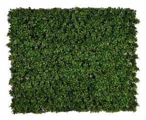 Roztažitelný plot s listy Šeflera 100 × 200 cm UV ochrana – praktická a stylová zelená dekorace